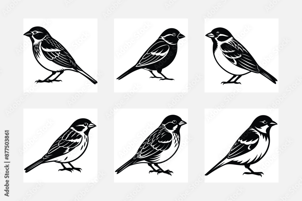 Fototapeta premium set of birds on a branch