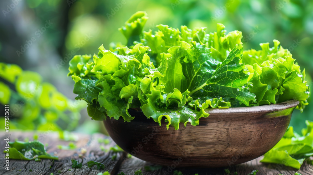A ceramic bowl filled with fresh, vibrant lettuce on a wooden table, evoking a sense of organic simplicity and the joy of healthy eating. A ceramic bowl filled with fresh, vibrant lettuce on a wooden table, evoking a sense of organic simplicity and the joy of healthy eating.