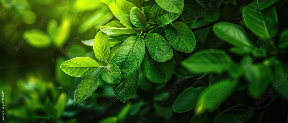 green leaf in summer garden perfect for spring background cover page greenery environment ecology wallpaper green leaf in summer garden perfect for spring background cover page greenery environment ecology wallpaper