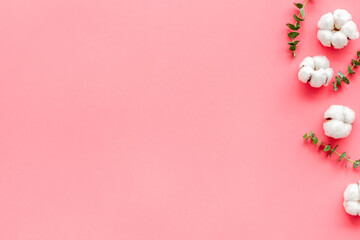 Flowers border with green eucalyptus branches and dry cotton flowers on pink background top view space for text