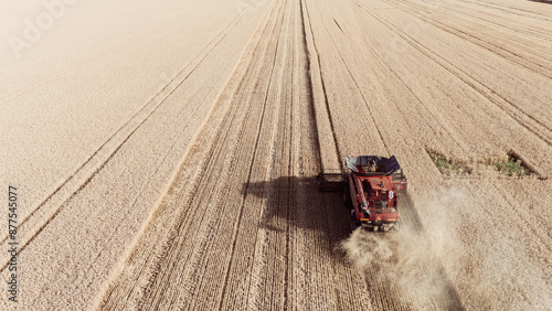 Aerial red harvester combine to harvest wheat field working. golden ripe grain field top down view