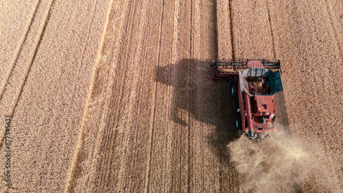 Aerial harvester harvests wheat in a field at sunset. harvester combine working in agricultural field of wheat field. 