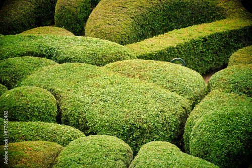 Tapety artystyczne Topiary garden at Les Jardins de Marqueyssac in the Dordogne, France 