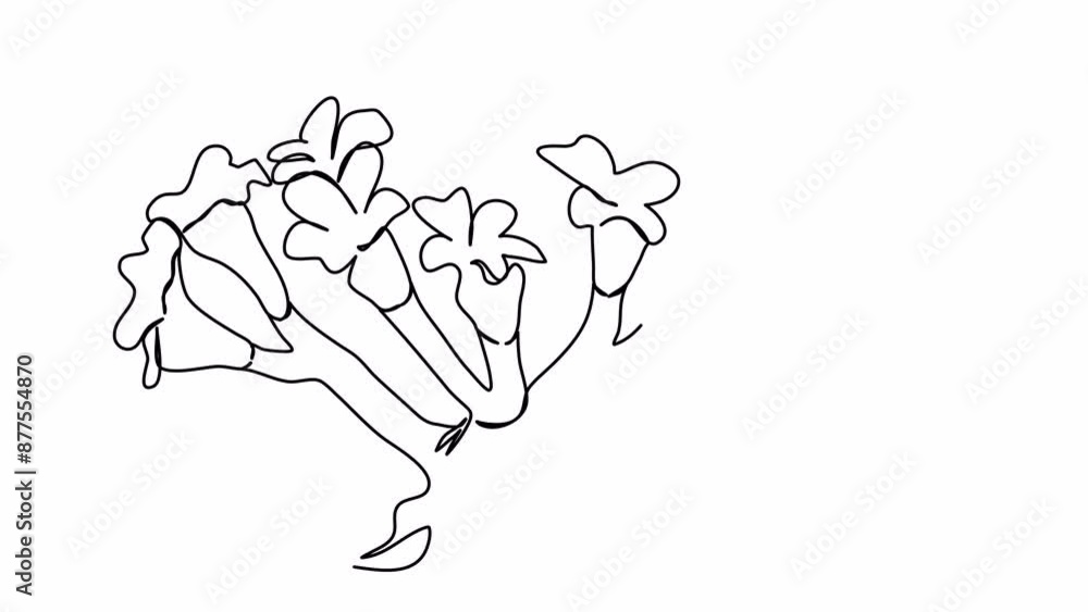 Flower. One line drawing animation with alpha channel.