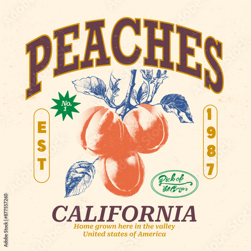 California Fruit Club, No.1 Peaches vector, peach vector art with typography, retro vintage fruit illustration for tee, graphic print, peach fruits t Shirt designs, girls graphic, women's food fashion