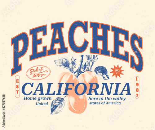 graphic print, peach fruits t Shirt designs, girls graphic, California Fruit Club, peach vector art with typography, retro vintage fruit illustration for tee,, women's food fashion graphics