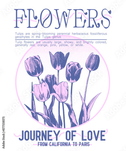 Tulips Flowers vector graphics, girls graphics design for flowers print, journey of love, from California  Paris typography slogan text print, pink color barbe theme and girlish theme t-shirt design
