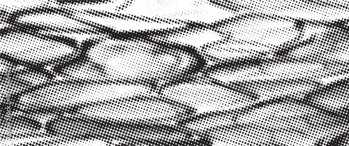 Rough black and white texture vector. Distressed overlay texture. Grunge background. Abstract textured effect. Vector Illustration