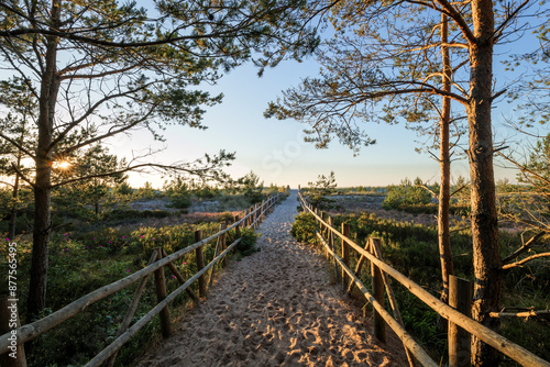 Obraz na płótnie Beautiful entrance to the beach among pine trees and roses. Seaside vegetation. Wooden balustrades lead you to the sea on fine yellow sand. The sea in the distance. Slajszewo, Poland. Baltic Sea w salonie