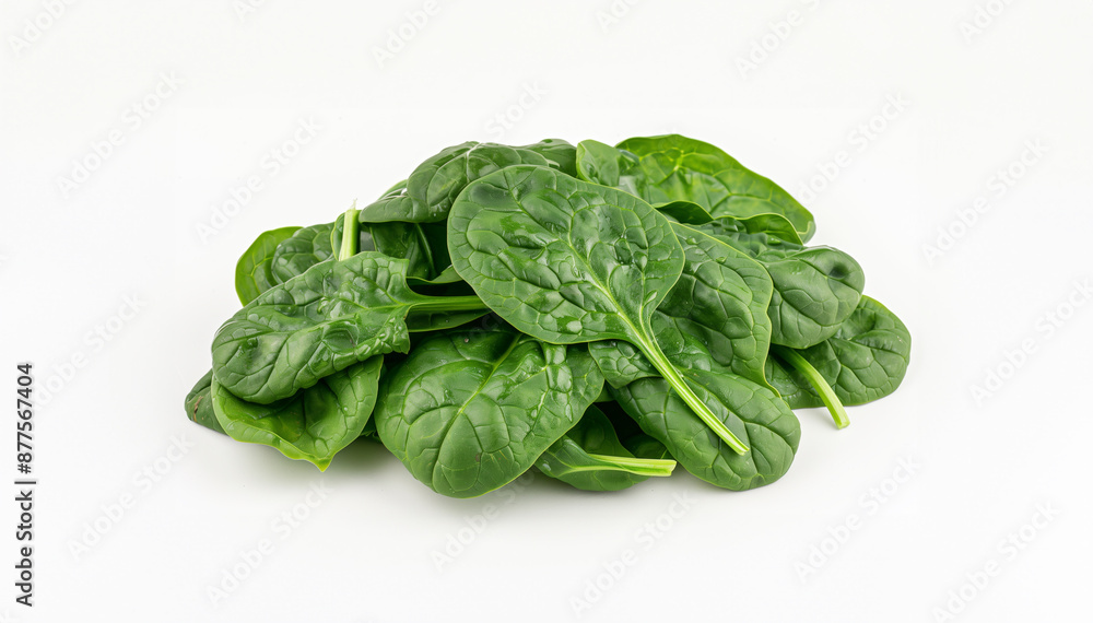 Pile of Fresh Spinach Leaves on White Background Pile of Fresh Spinach Leaves on White Background