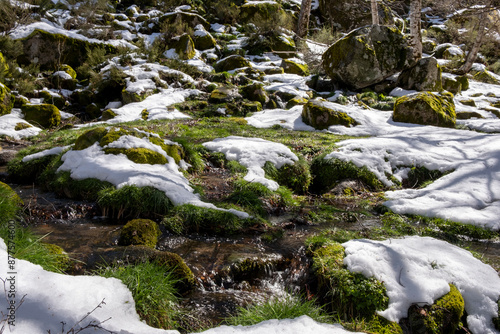 Winter landscape with the ice melting in the spring and rocks covered with green moss photo