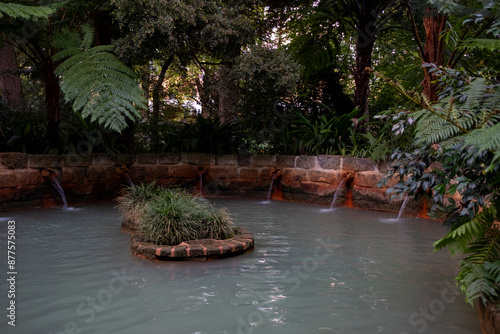 Hot Springs, Thermal Pool in Park Terra Nostra Garden. Furnas. Sao Miguel, Azores