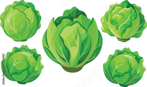 Tableau sur toile set of vegetables,  Green Iceberg lettuce isolated on vector artwork