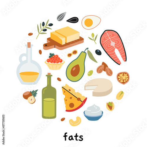 Healthy fats sources product infographic. Set with fatty food like meat, avocados, nuts, oils, fish and cheeses. Modern vector illustration isolated on white background, hand drawn, flat design