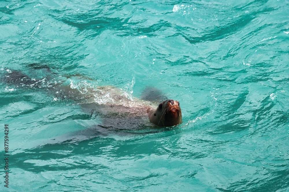 Fototapeta premium Yakutat Bay, Alaska