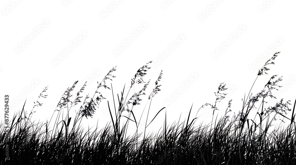 Black and white silhouette of tall grass blowing in the wind, minimalist design, nature, tranquility, peace. Black and white silhouette of tall grass blowing in the wind, minimalist design, nature, tranquility, peace.