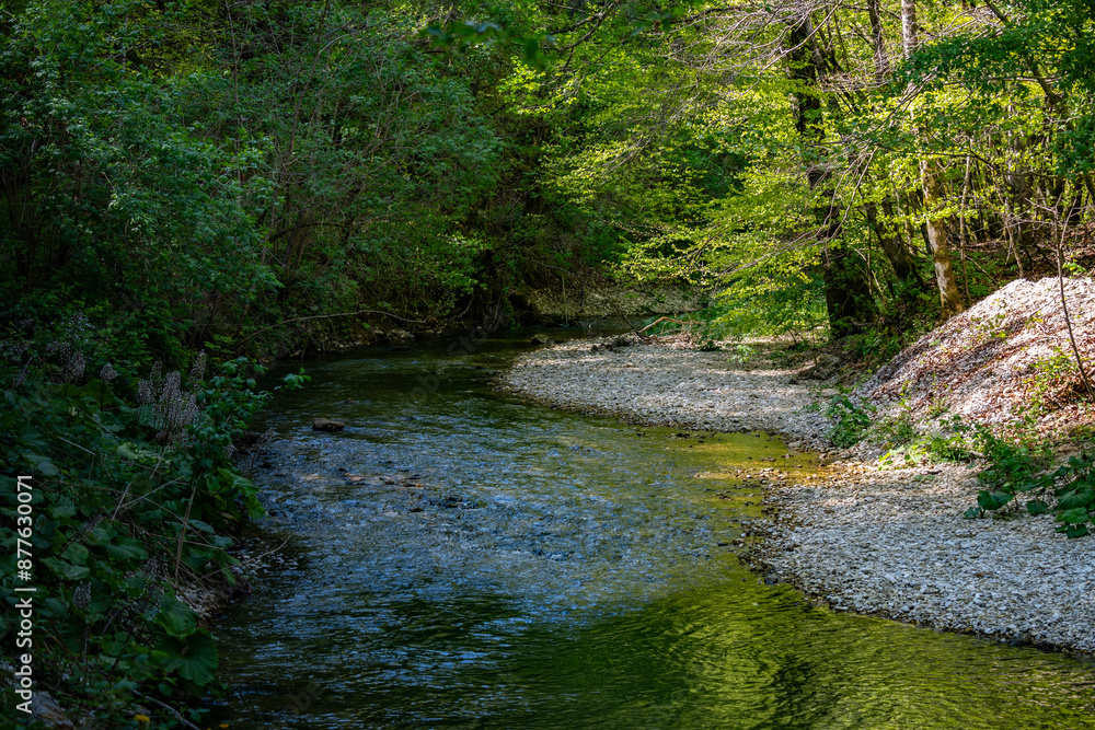 Slapnica stream canyon in the dense forest of Zumberak mountains, Croatia, popular weekend walking trail through the green woods in spring season Slapnica stream canyon in the dense forest of Zumberak mountains, Croatia, popular weekend walking trail through the green woods in spring season