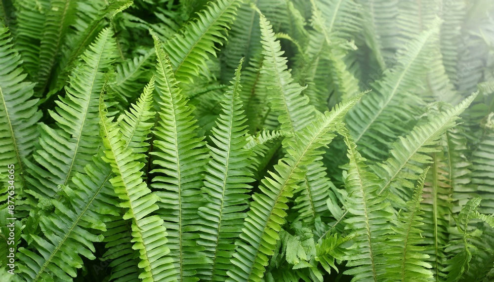 lush fern plants background, AI generated