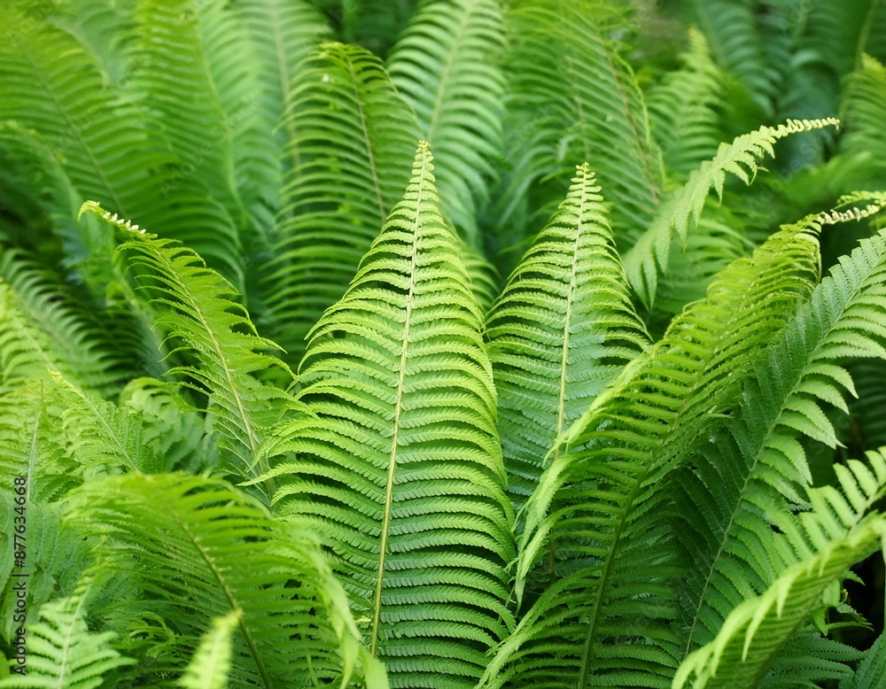 lush fern plants background, AI generated lush fern plants background, AI generated
