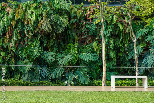 Photography Building facade covered with lush green vertical garden with monstera leaves and fern and bench on foreground in Kuala Lumpur city, Malaysia
