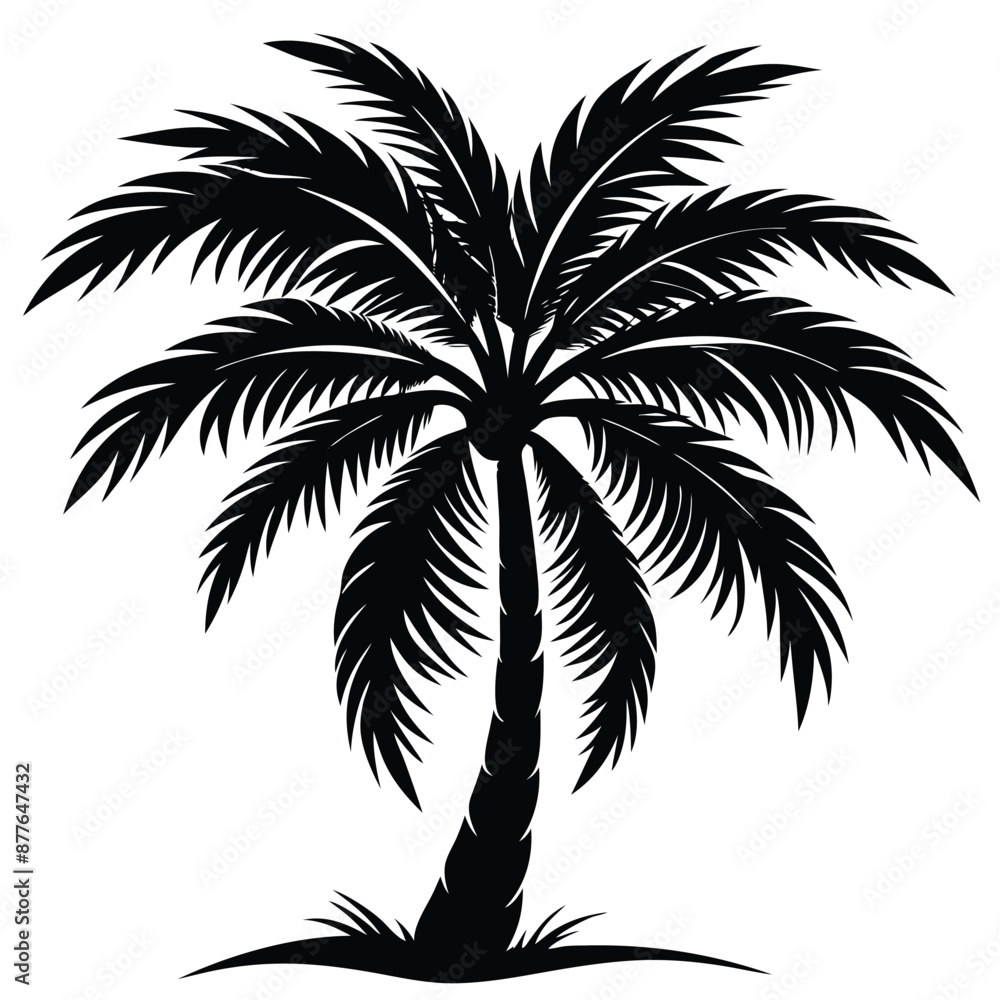 plant tree silhouette plant tree silhouette