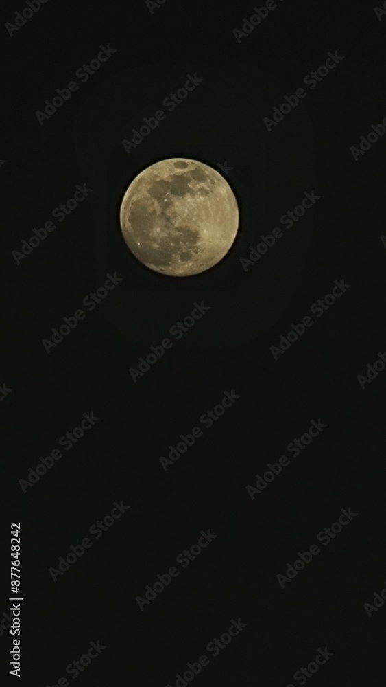 Obraz premium moon in the sky