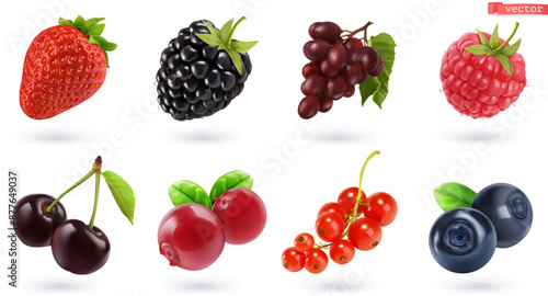 Fruits and berries, high quality realistic vector set