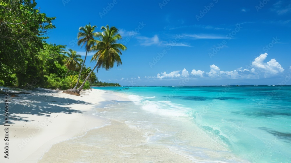 A picturesque tropical beach scene where palm trees stretch towards clear blue water, set under a vivid blue sky, inviting relaxation and illustrating natural beauty. A picturesque tropical beach scene where palm trees stretch towards clear blue water, set under a vivid blue sky, inviting relaxation and illustrating natural beauty.