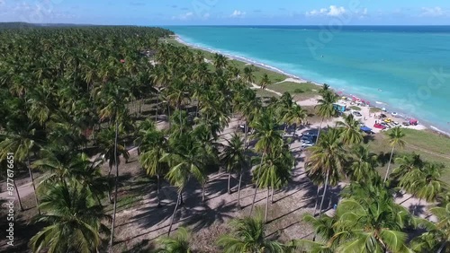 Wallpaper Mural Aerial view of Antunes Beach - Maragogi, Alagoas, Brazil Torontodigital.ca