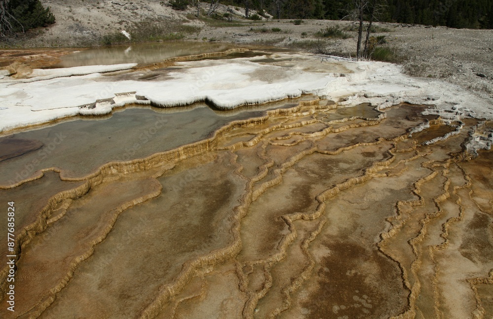 Mound Spring at Lower Terrace in Yellowstone National Park, Wyoming Mound Spring at Lower Terrace in Yellowstone National Park, Wyoming