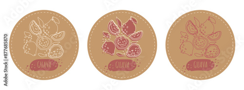 Abstract Craft set of three round fruit sticker labels. Trending fruit guava with lines and shapes. Vector outline set for design.