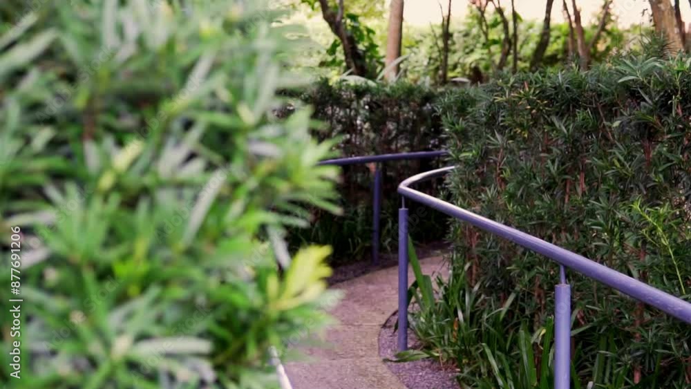 A trail in a public park, a place to exercise in a public park