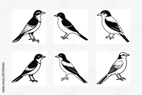 Solid color Eastern Kingbird animal vector design