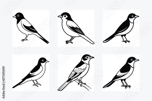 Solid color Eastern Kingbird animal vector design