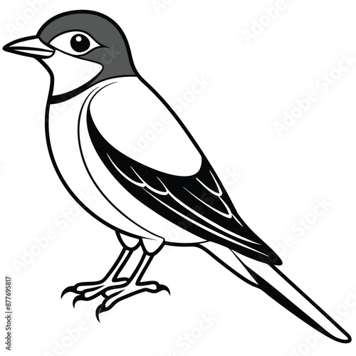 Solid color Eastern Kingbird animal vector design