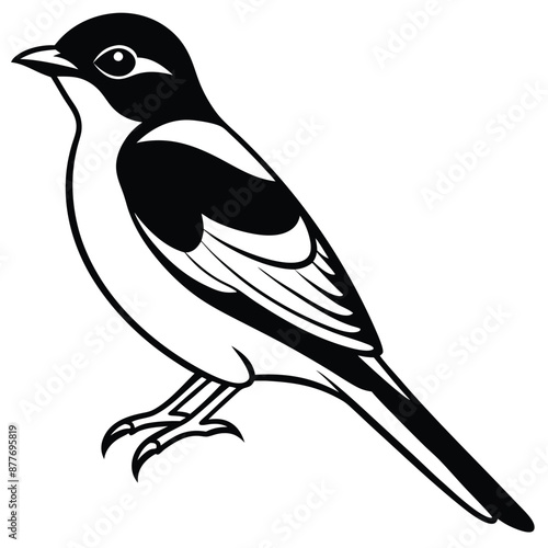 Solid color Eastern Kingbird animal vector design