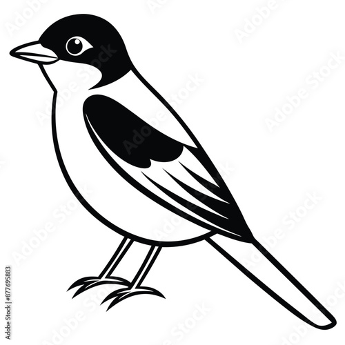 Solid color Eastern Kingbird animal vector design