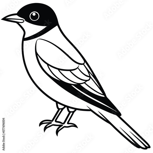 Solid color Eastern Kingbird animal vector design
