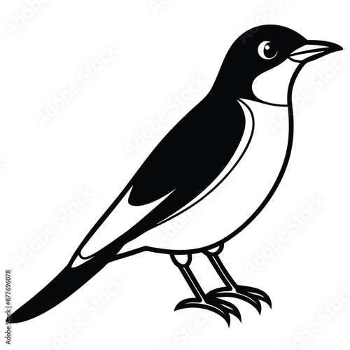 Solid color Eastern Kingbird animal vector design