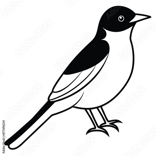 Solid color Eastern Kingbird animal vector design