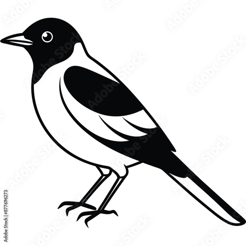 Solid color Eastern Kingbird animal vector design