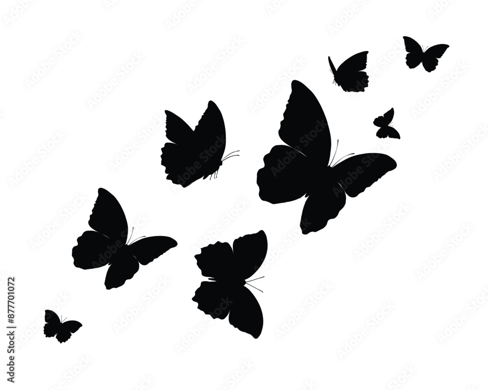 Fototapeta premium butterflies silhouettes set black vector 