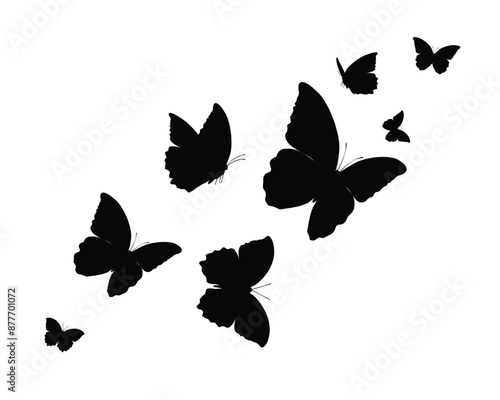 butterflies silhouettes set black vector	 photo