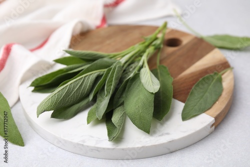 Fresh sage leaves on light table, closeup