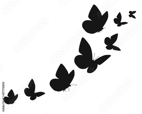 Black butterfly silhouettes. Outline butterflies romantic tattoo, tropical insects stencil. Summer and spring exotic symbols isolated vector set. Elegant wild flying moth of various shape	