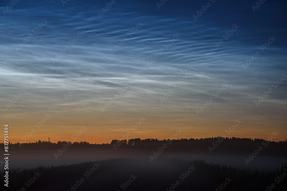 silver clouds in the meadow at night with fog in the field silver clouds in the meadow at night with fog in the field
