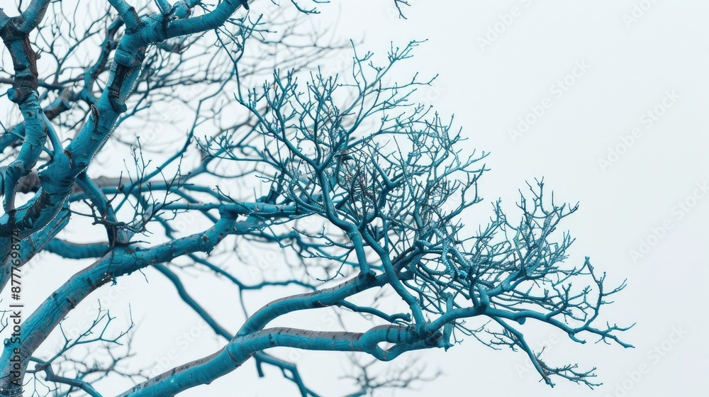 Blue tree limbs against a white backdrop Decorative idea Close view with room for text