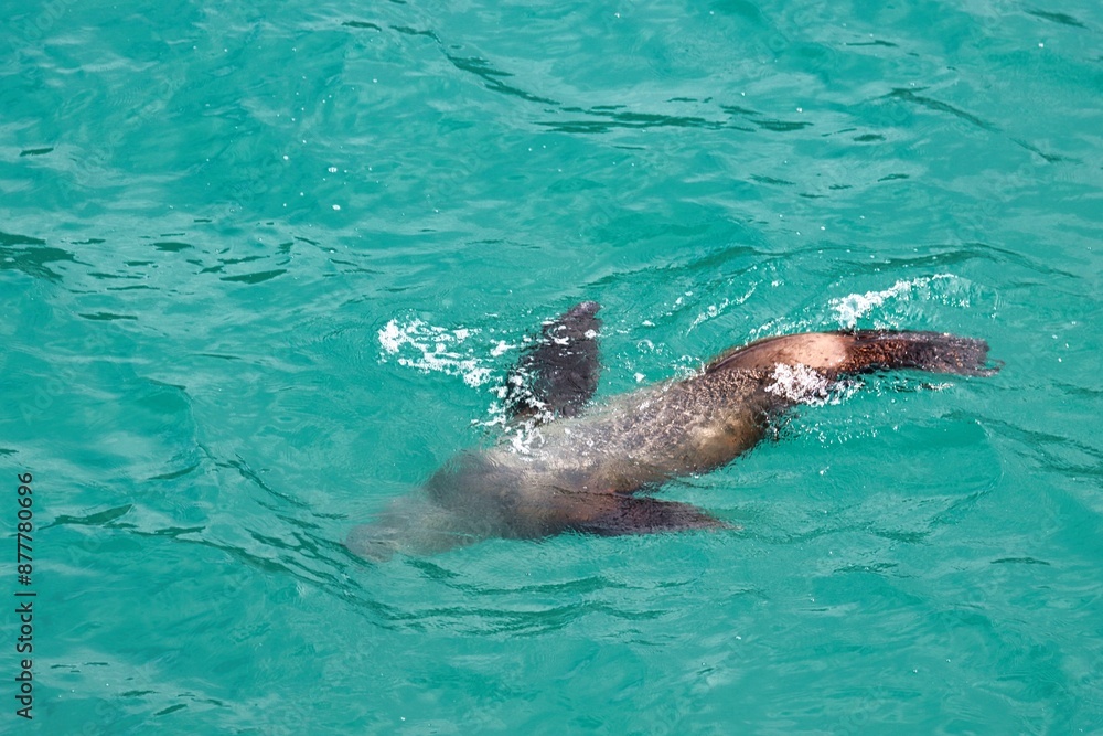 Obraz premium Yakutat Bay, Alaska