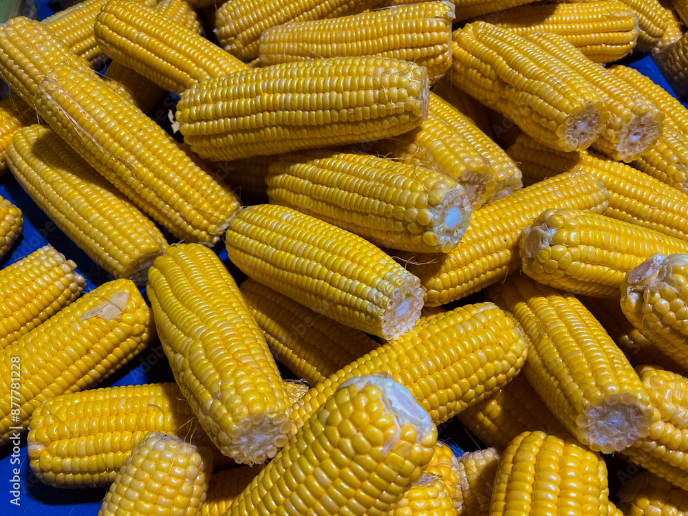 fresh corn fruit sold in the market fresh corn fruit sold in the market