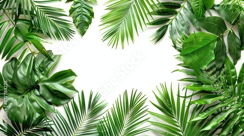 Tropical Green Leaves Frame on White Background